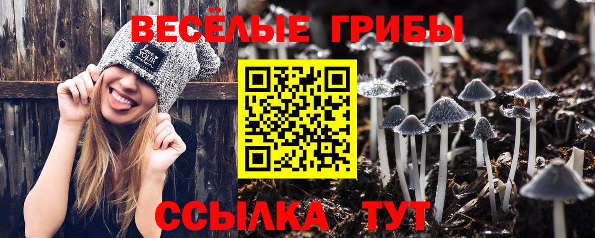 Ессентуки  Псилоцибиновые грибы MAGIC MUSHROOMS  Вход с VPN 
