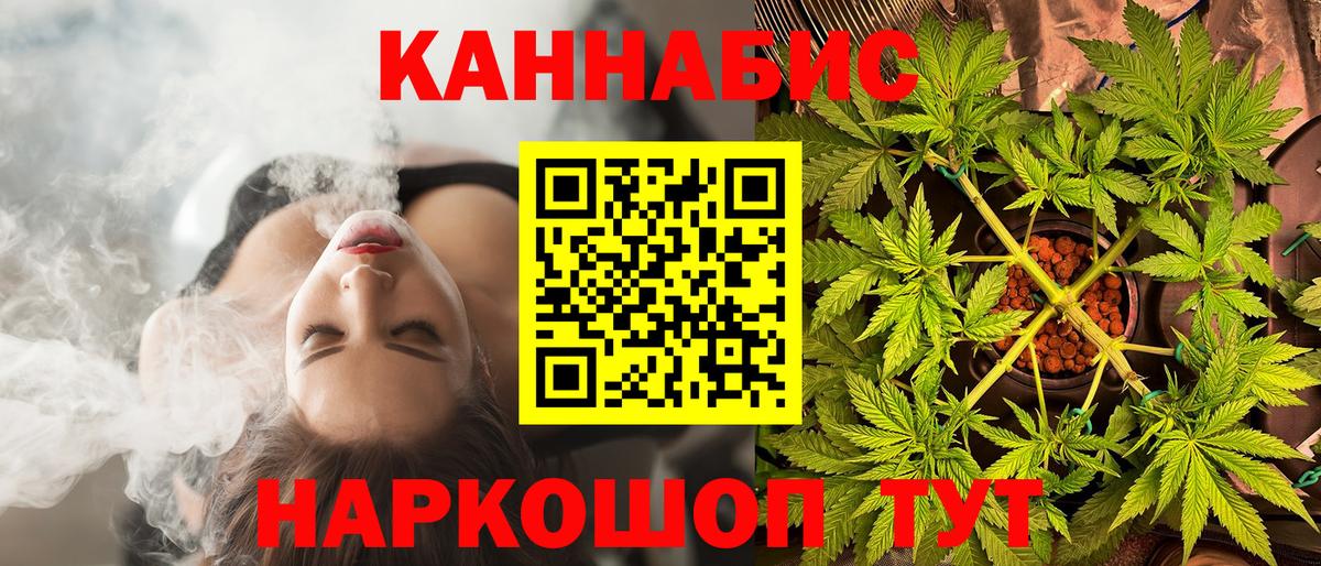 Бошки марихуана планчик Ессентуки